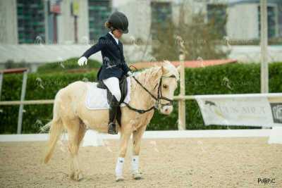 DOMA02032025S-312