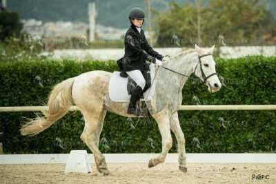 DOMA02032025S-316