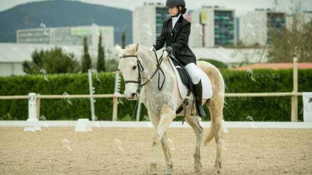 DOMA02032025S-319