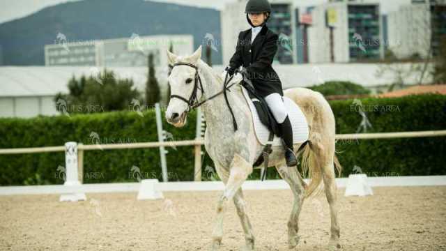 DOMA02032025S-322
