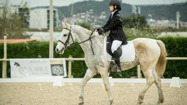 DOMA02032025S-323