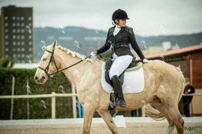DOMA02032025S-327