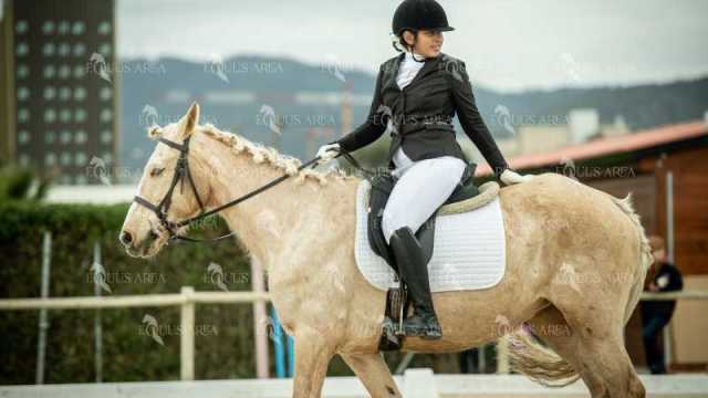 DOMA02032025S-327