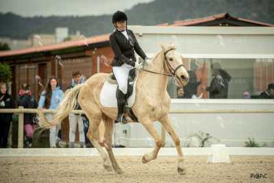 DOMA02032025S-329