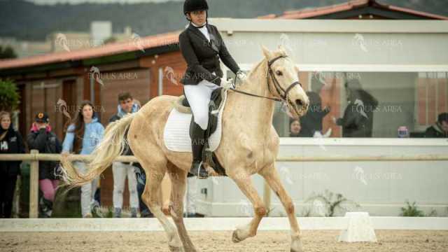 DOMA02032025S-329