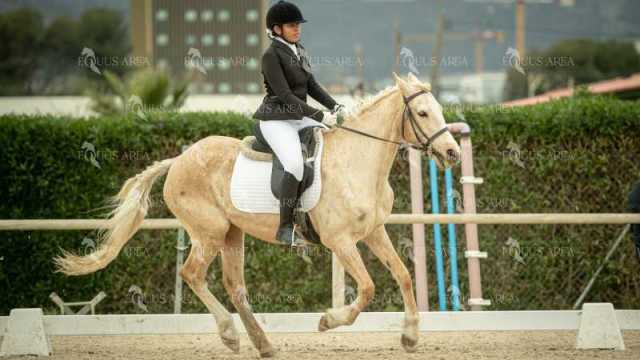 DOMA02032025S-330