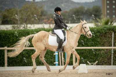 DOMA02032025S-331