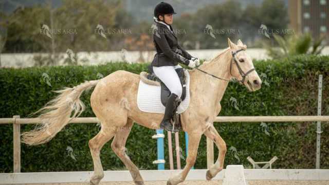 DOMA02032025S-331