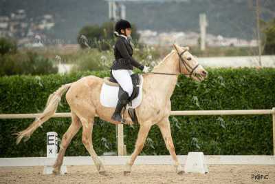 DOMA02032025S-332