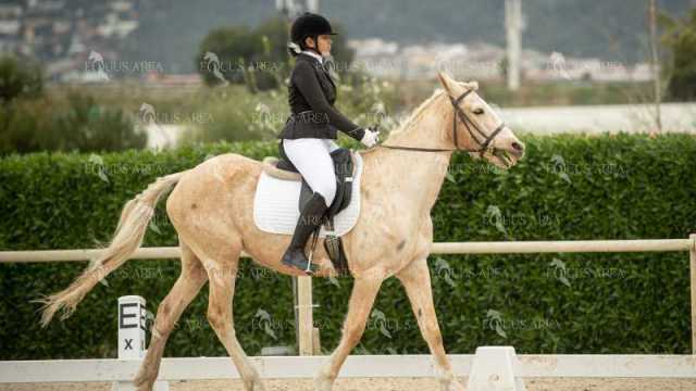 DOMA02032025S-332