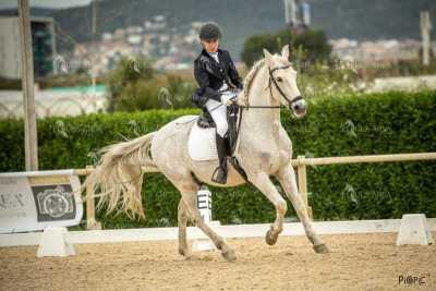 DOMA02032025S-337
