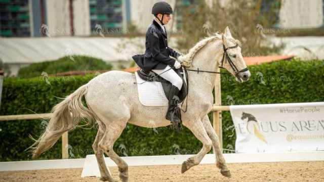 DOMA02032025S-338