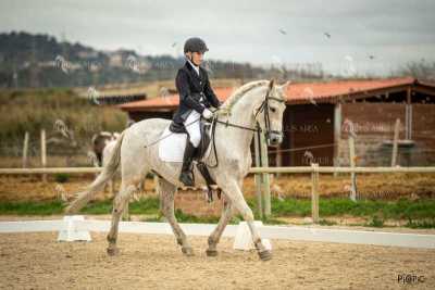 DOMA02032025S-339