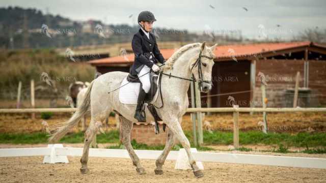DOMA02032025S-339