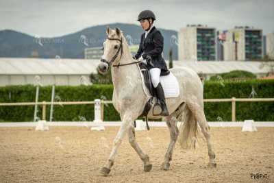 DOMA02032025S-340