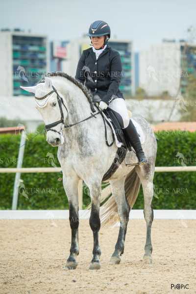 DOMA02032025S-348
