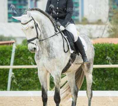 DOMA02032025S-348