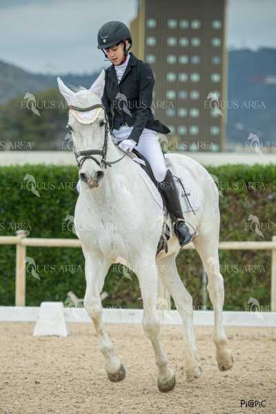 DOMA02032025S-361