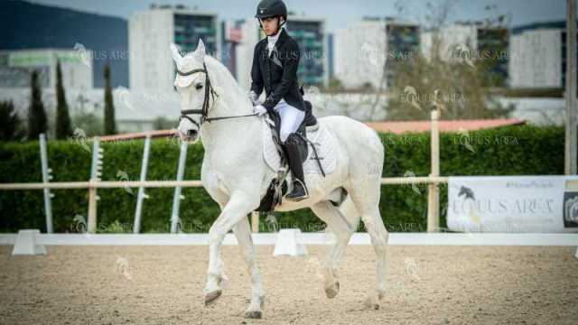 DOMA02032025S-364