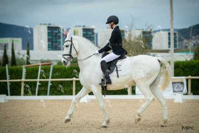 DOMA02032025S-366