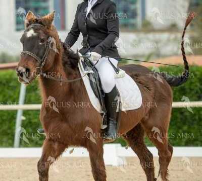 DOMA02032025S-370