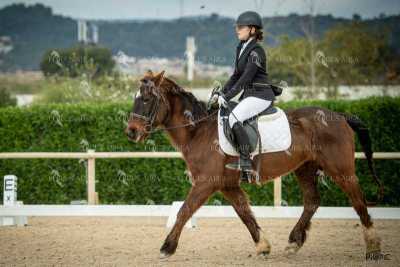 DOMA02032025S-373