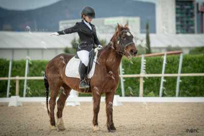 DOMA02032025S-374