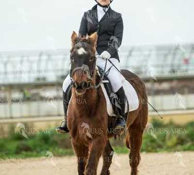 DOMA02032025S-375