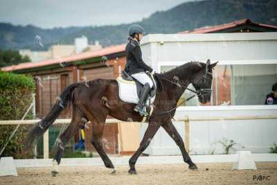 DOMA02032025S-378