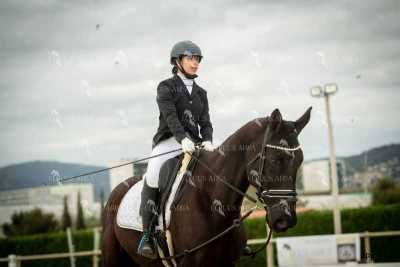 DOMA02032025S-380
