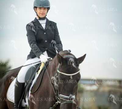 DOMA02032025S-382