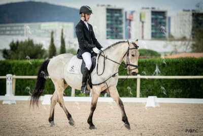 DOMA02032025S-385