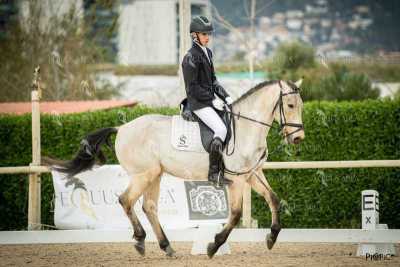 DOMA02032025S-387