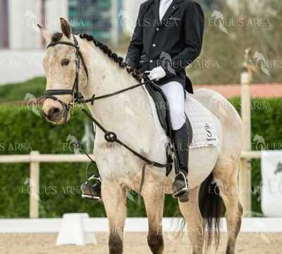 DOMA02032025S-388