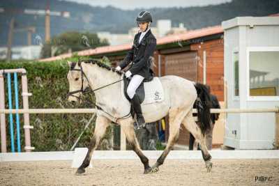 DOMA02032025S-389