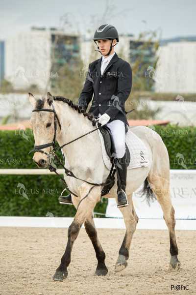 DOMA02032025S-390