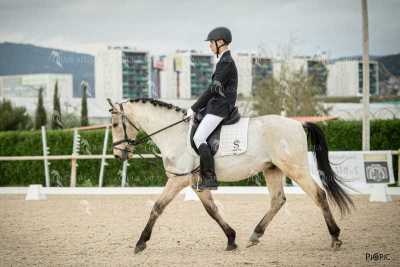 DOMA02032025S-391