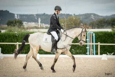 DOMA02032025S-392