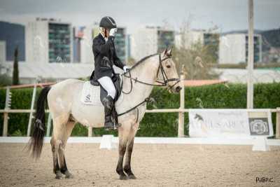 DOMA02032025S-393
