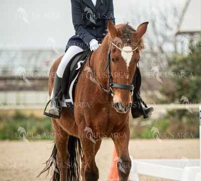 DOMA02032025S-399