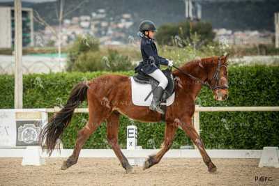 DOMA02032025S-403