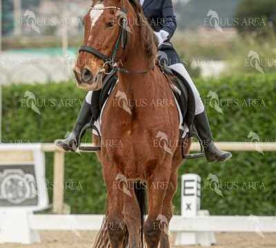 DOMA02032025S-404