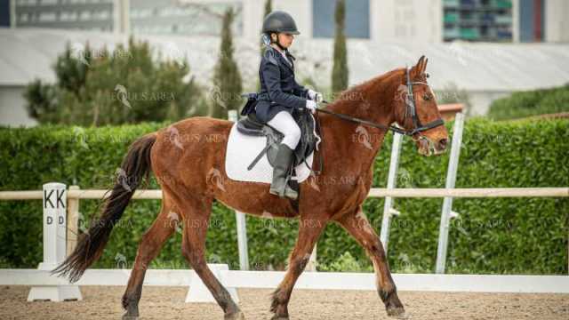 DOMA02032025S-406