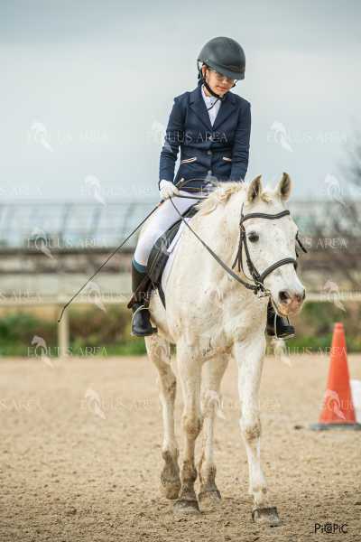 DOMA02032025S-410