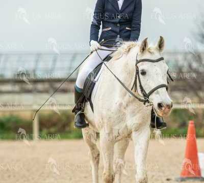 DOMA02032025S-410