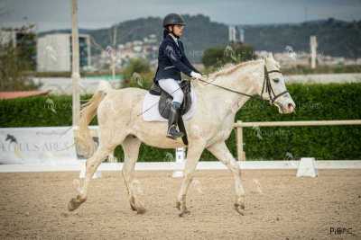 DOMA02032025S-413