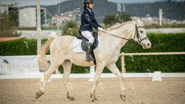 DOMA02032025S-413
