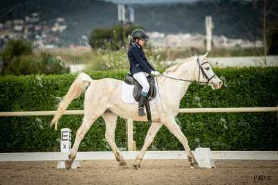 DOMA02032025S-416