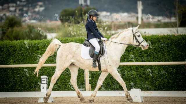 DOMA02032025S-416