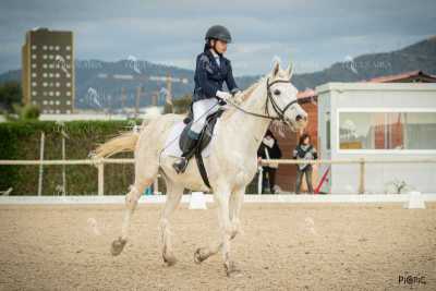 DOMA02032025S-417